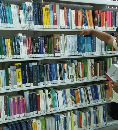 Acervo Bibliográfico